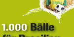 Don Bosco Kampagne für Brasilien, 2014