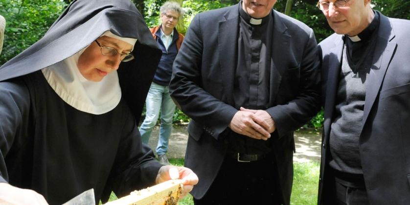 Schwester Anna von den Benediktinerinnen in Köln zeigte Kardinal Woelki (r.) und Generalvikar Dominik Meiering (M.) die Bienen und erklärte die Grundlagen der Bienenhaltung.