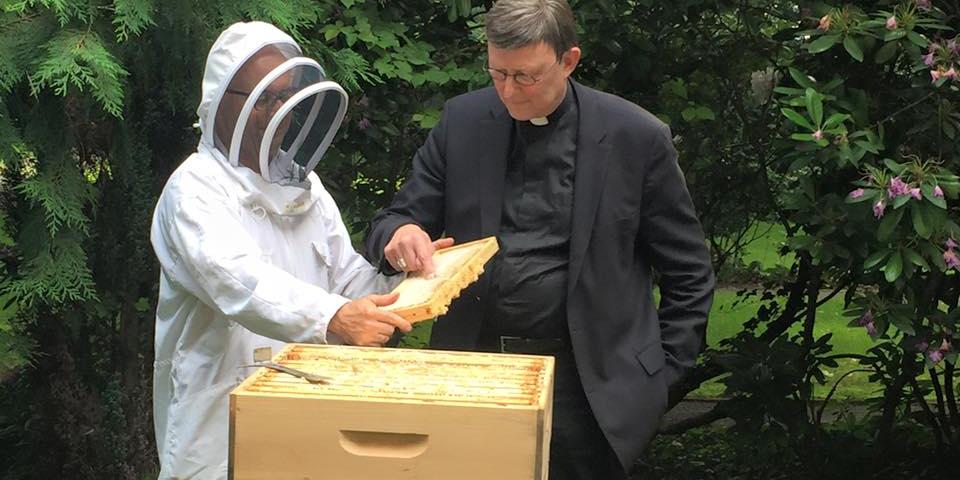 Kardinal Woelki probiert den Honig direkt aus der Wabe heraus.