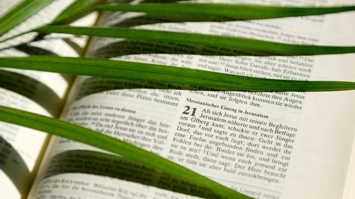 Palmzweige über einer aufgeschlagenen Bibel