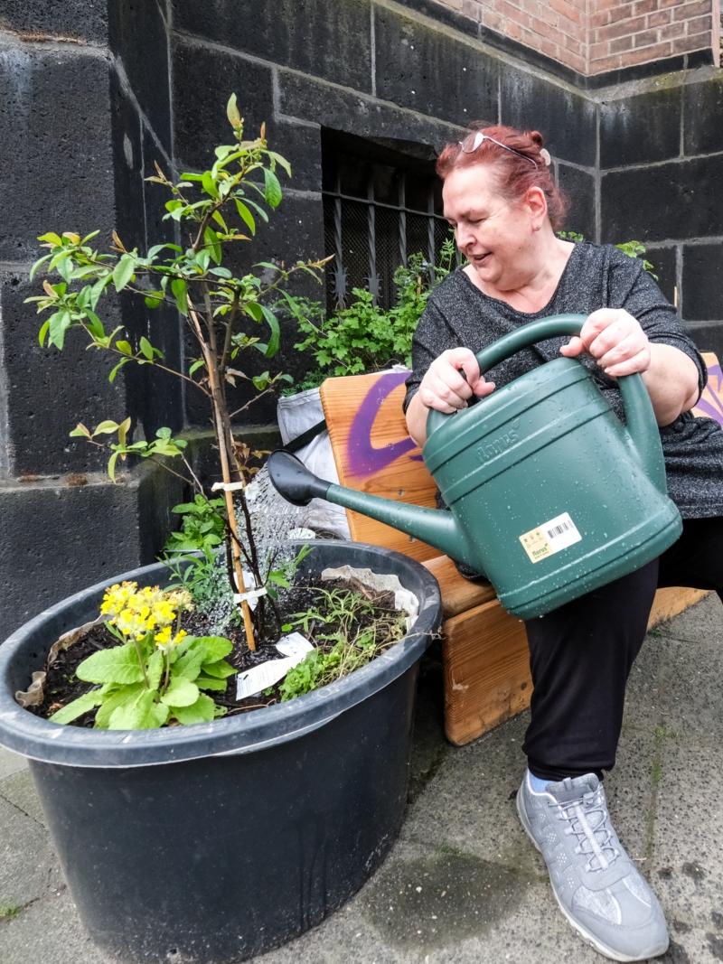 BiCK-Projekt Düsseldorf Bilk - Regenwasser