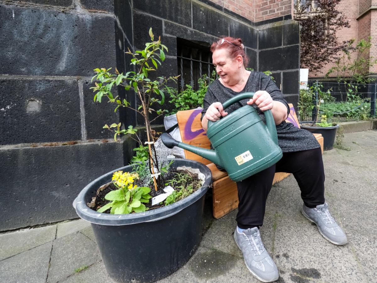 BiCK-Projekt Düsseldorf Bilk - Regenwasser