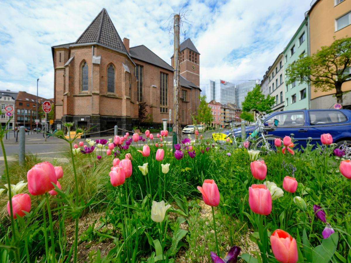 BiCK-Projekt Düsseldorf Bilk - Regenwasser
