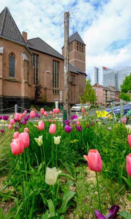 BiCK-Projekt Düsseldorf Bilk - Regenwasser