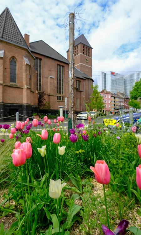 BiCK-Projekt Düsseldorf Bilk - Regenwasser