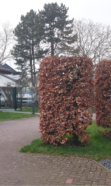 Kita St. Ursula _ Wärmepumpe