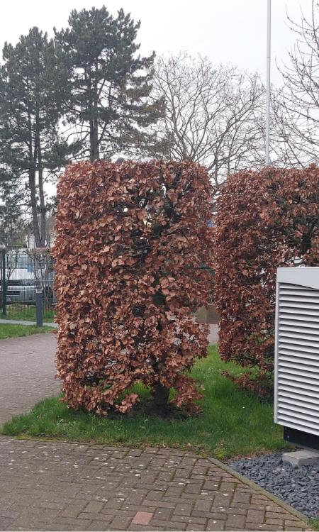 Kita St. Ursula _ Wärmepumpe