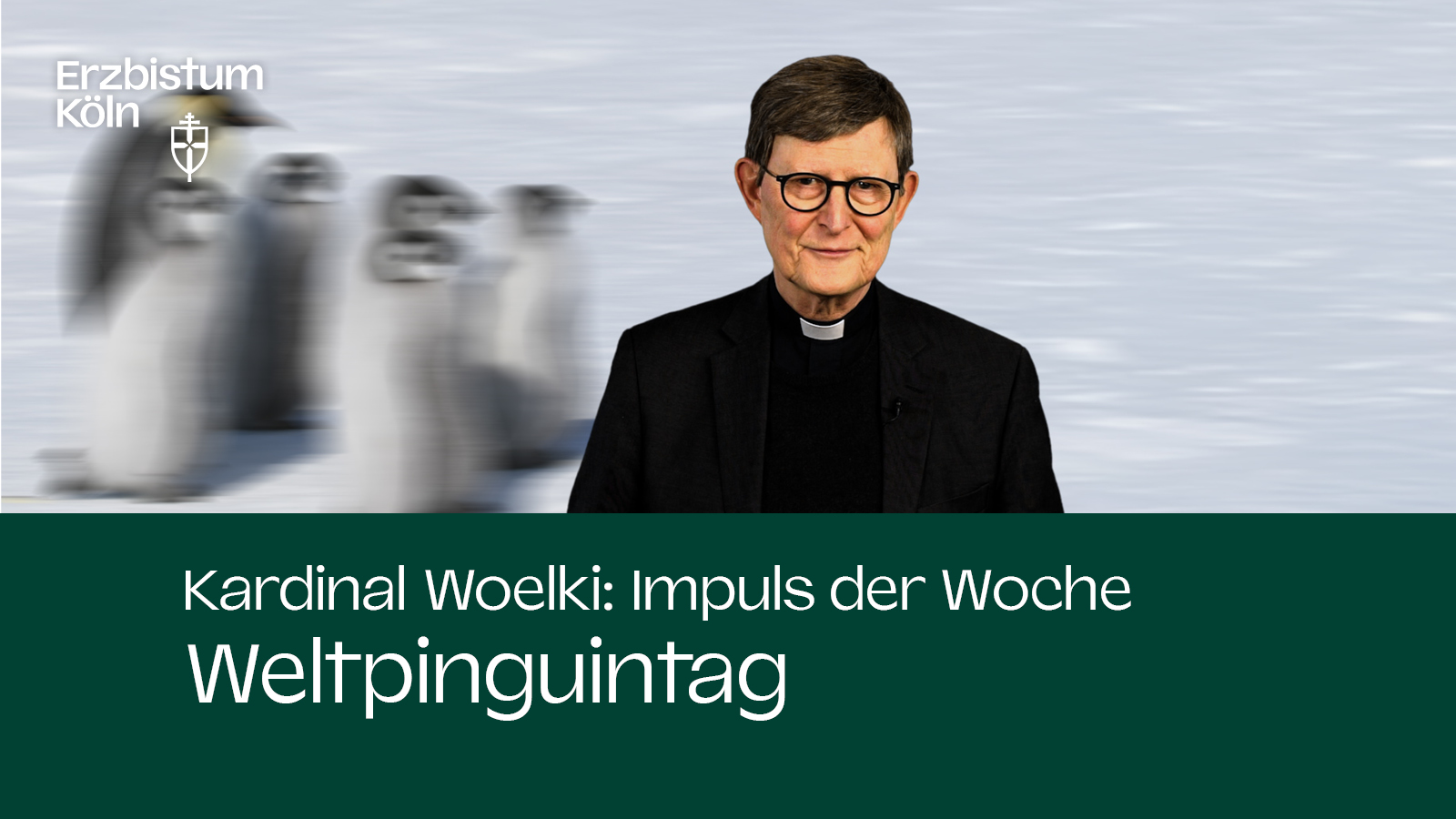 Kardinal Woelki: Impuls der Woche - Weltpinguintag