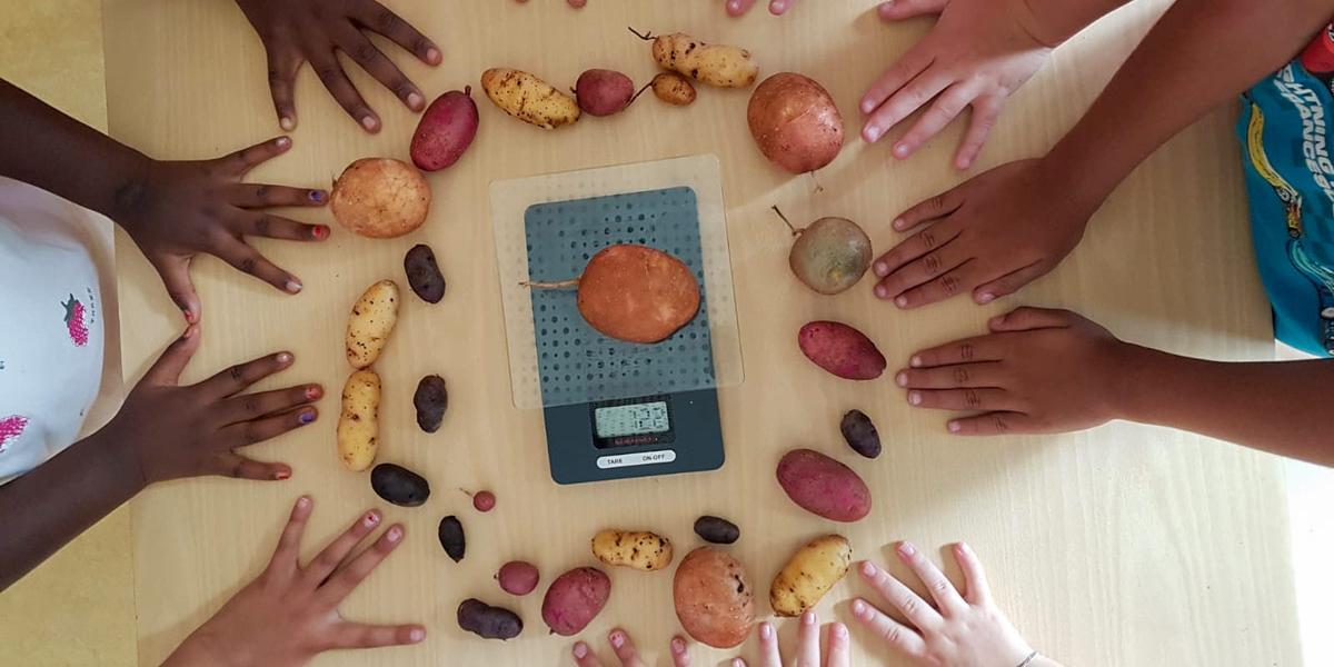 Kartoffelaktion 2020 – Hände