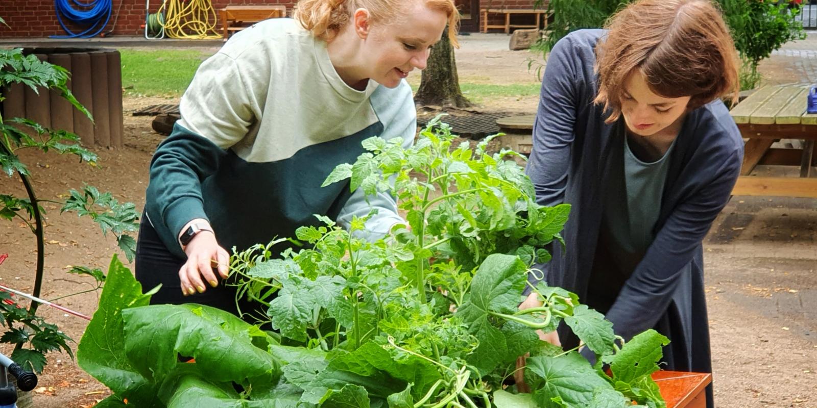 Gärtnern am Hochbeet mit v.l. Bernadette Jochens und Lizzy Carduck