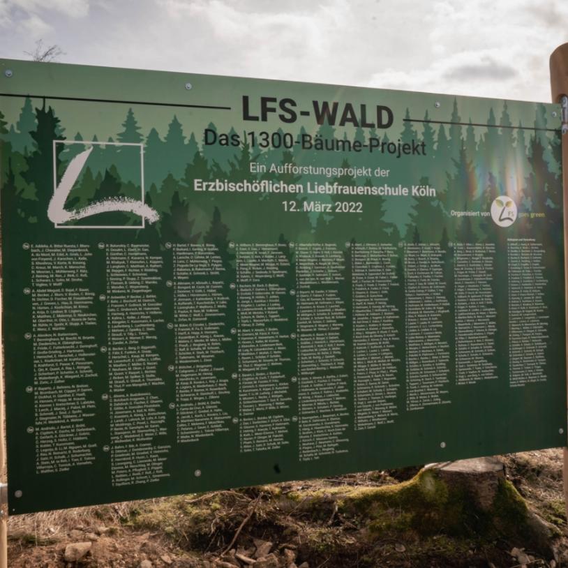 Unter dem Motto „Unser LFS-Wald – Jede(r) SchülerIn/LehrerIn pflanzt einen Baum“ kamen SchülerInnen und Lehrkräfte in die Natur und pflanzten auf einer Fläche von ca. einem Hektar 1300 Bäume.