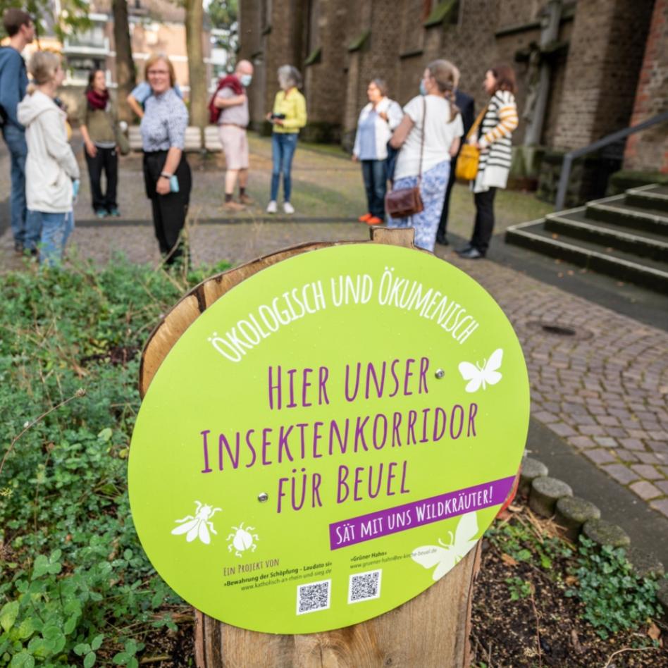 Seit Herbst 2021 blühen im Kirchhof von St. Josef und vor der evangelischen Versöhnungskirche in Bonn-Beuel sowie vor St. Peter in Vilich bunte Blumenbeete. Angelegt wurden sie von der ökumenischen Gruppe „LaudatoSi“, die es sich zum Ziel gesetzt hat, zur Bewahrung der Schöpfung beizutragen. Zum Auftakt waren im September 2020 alle Interessierten, ob kirchennah oder kirchenfern, zu einem gemeinsamen Spaziergang eingeladen, bei dem, begleitet von Impulsen und Vorträgen, die Samen ausgesät wurden. Das Projekt verbindet den gesamten Stadtteil, auch Kindergärten haben mit dem Bau von Insektenhotels zur Gestaltung der Blumenwiesen beigetragen.