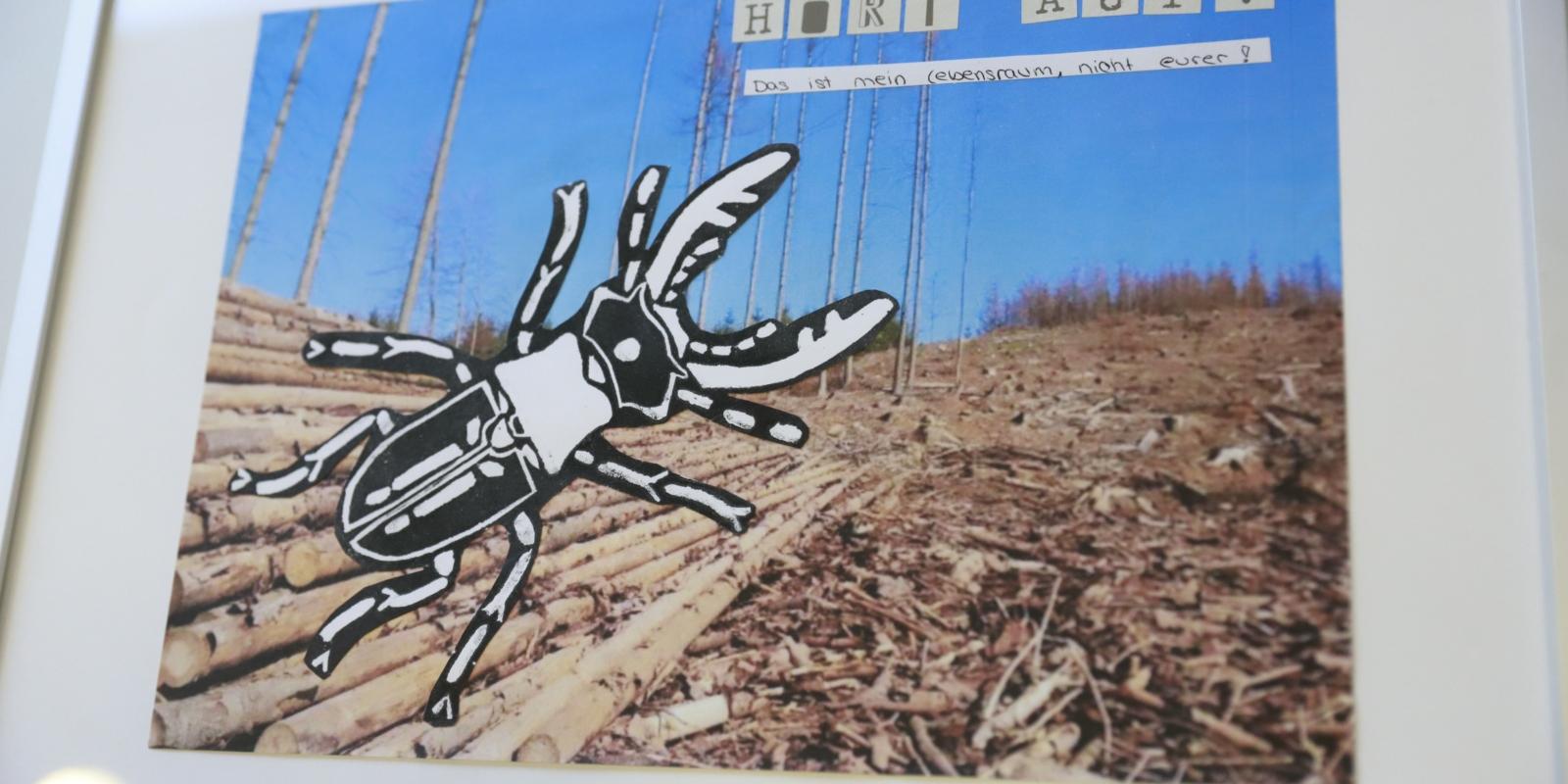 Ursulinenrealschule Köln Erasmus+ Projekt Nachhaltigkeit Kunst