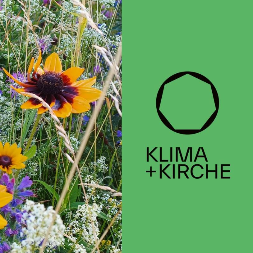 Klima+Kirche: Biodiversität fördern