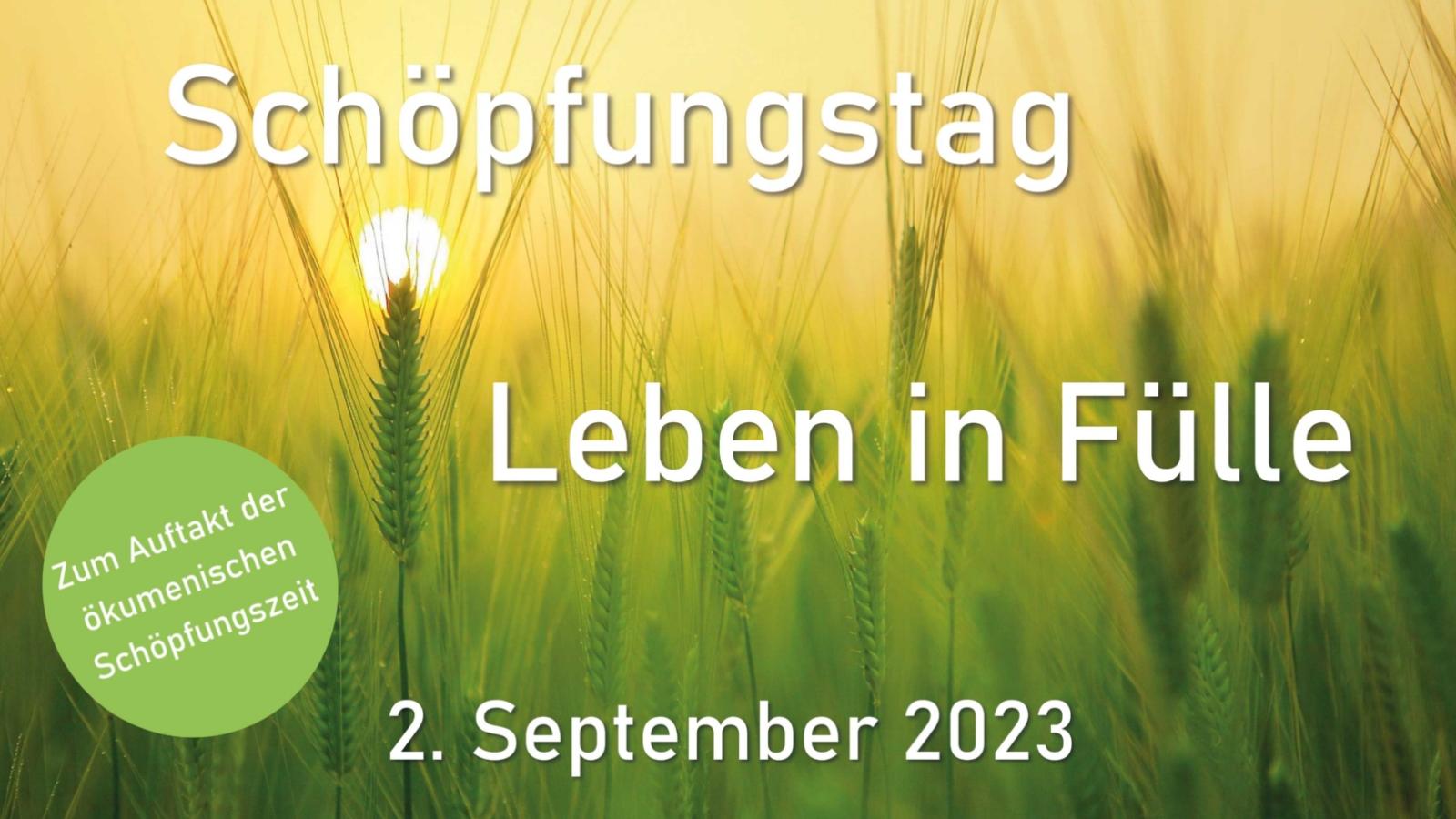 Schöpfungstag am 2. September zum Auftakt der ökumenischen Schöpfungszeit