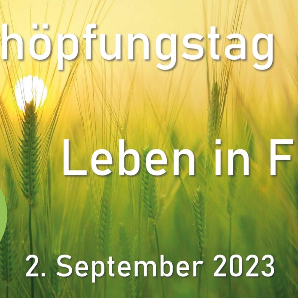 Schöpfungstag am 2. September zum Auftakt der ökumenischen Schöpfungszeit