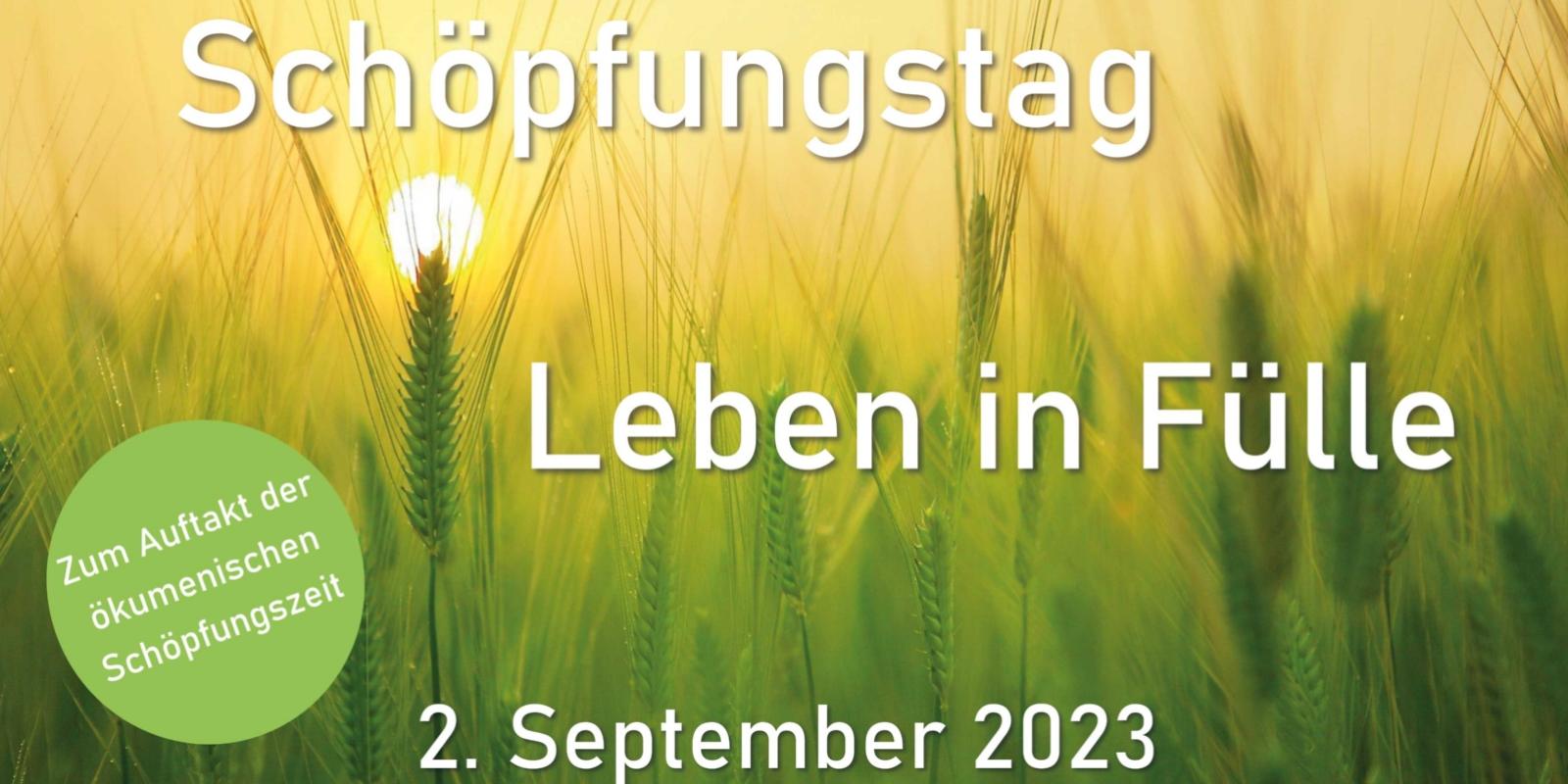 Schöpfungstag am 2. September zum Auftakt der ökumenischen Schöpfungszeit
