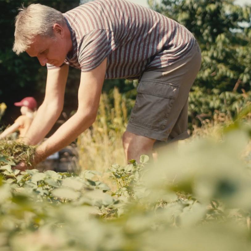 BiodiversitätsCheck in Kirchengemeinden