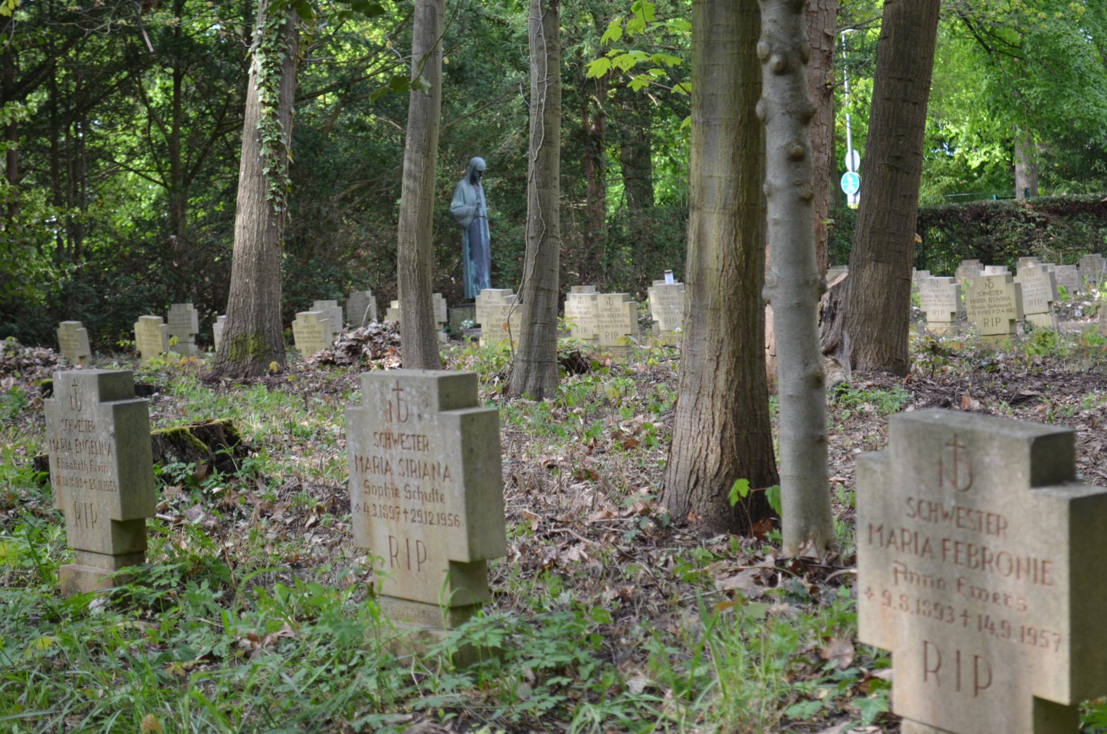 Schülerprojekt am St.-Joseph-Gymnasium in Rheinbach, Schwesternfriedhof wird instand gesetzt, gefördert vom Erzbischöflichen Schulfonds