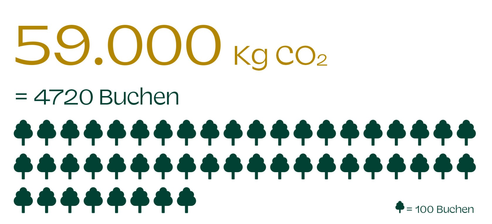 Was die PV-Anlage auf dem EBH und dem Priesterseminar jährlich an CO2 kompensiert, schaffen ca. 4720 Buchen im Jahr, wenn man von einer 80-jährigen Lebensdauer ausgeht.