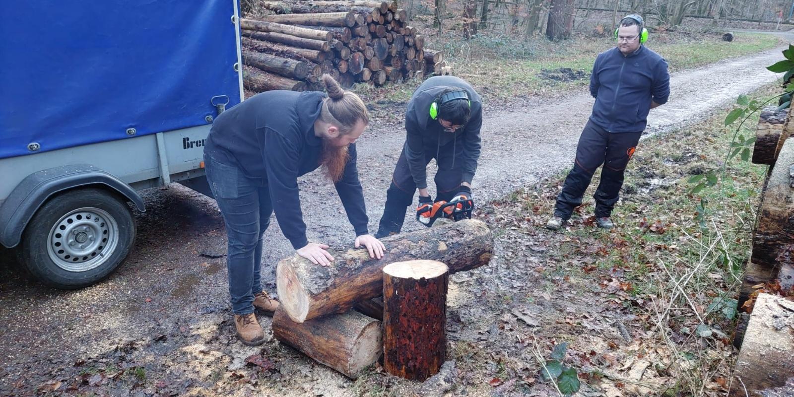 Holz für den Ostergarten in St. Servatius