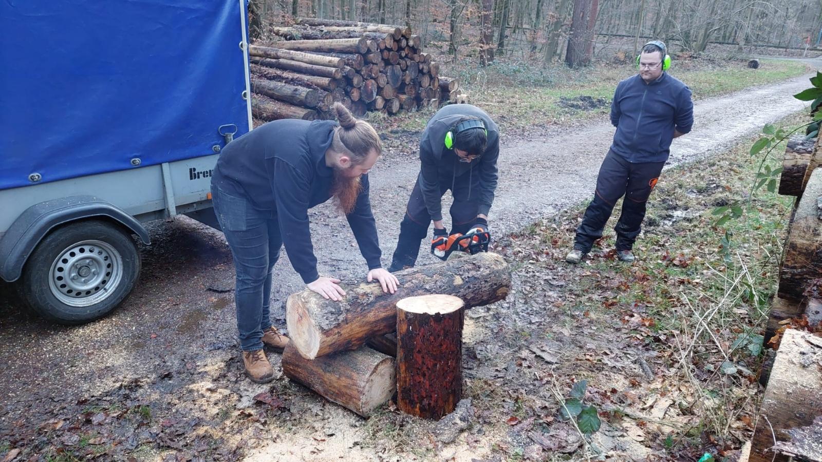Holz für den Ostergarten in St. Servatius