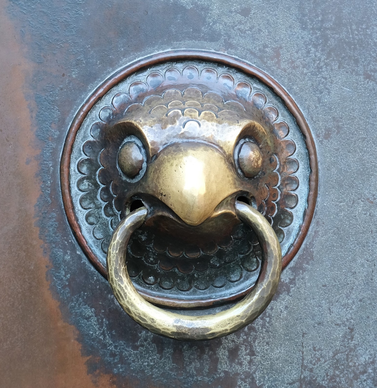 Foto eines bronzenen Türklopfers vom Nordwestportal der Kirche St. Gereon in Form eines Greifvogelkopfes.