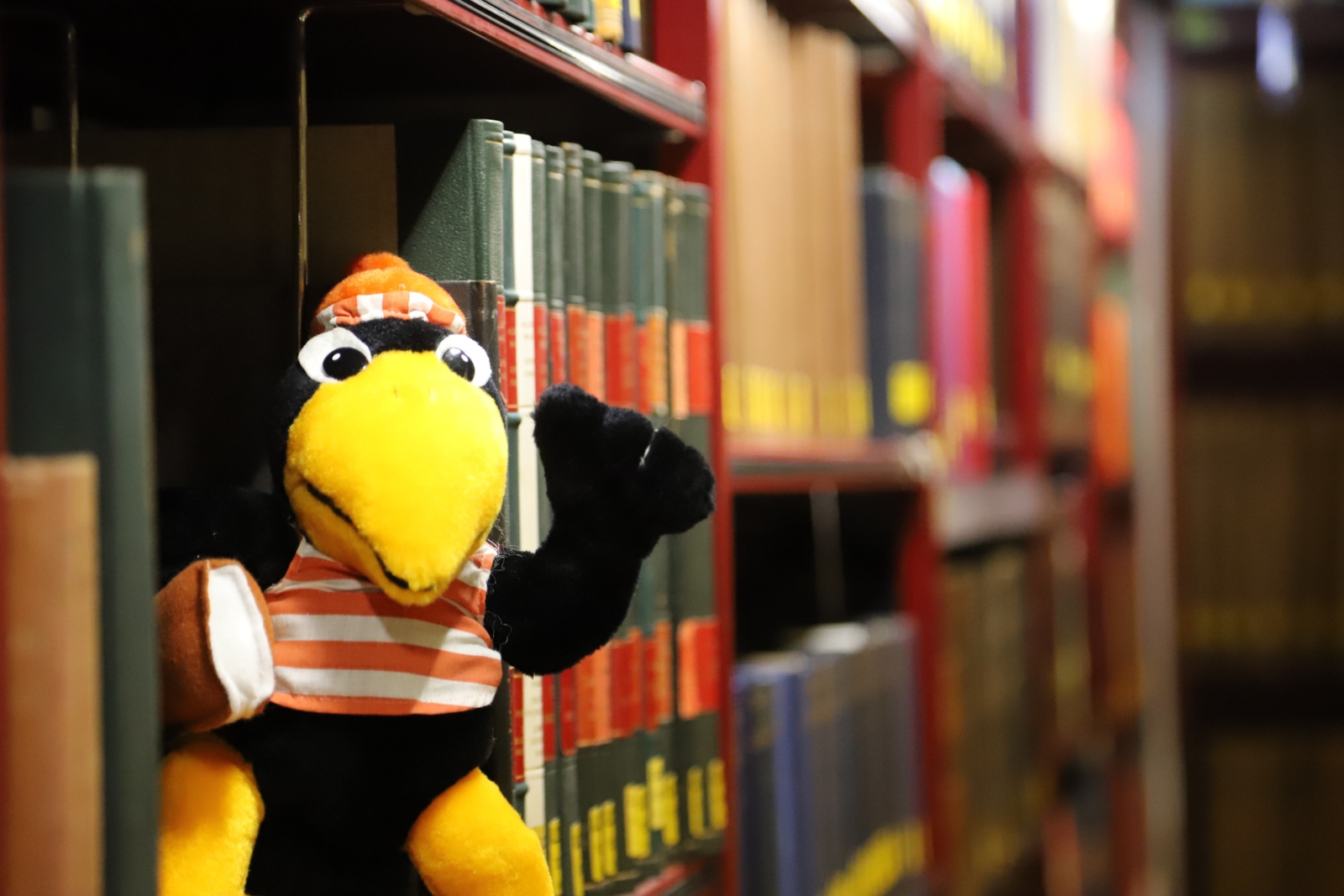 KÖB-Maskottchen Fridolin