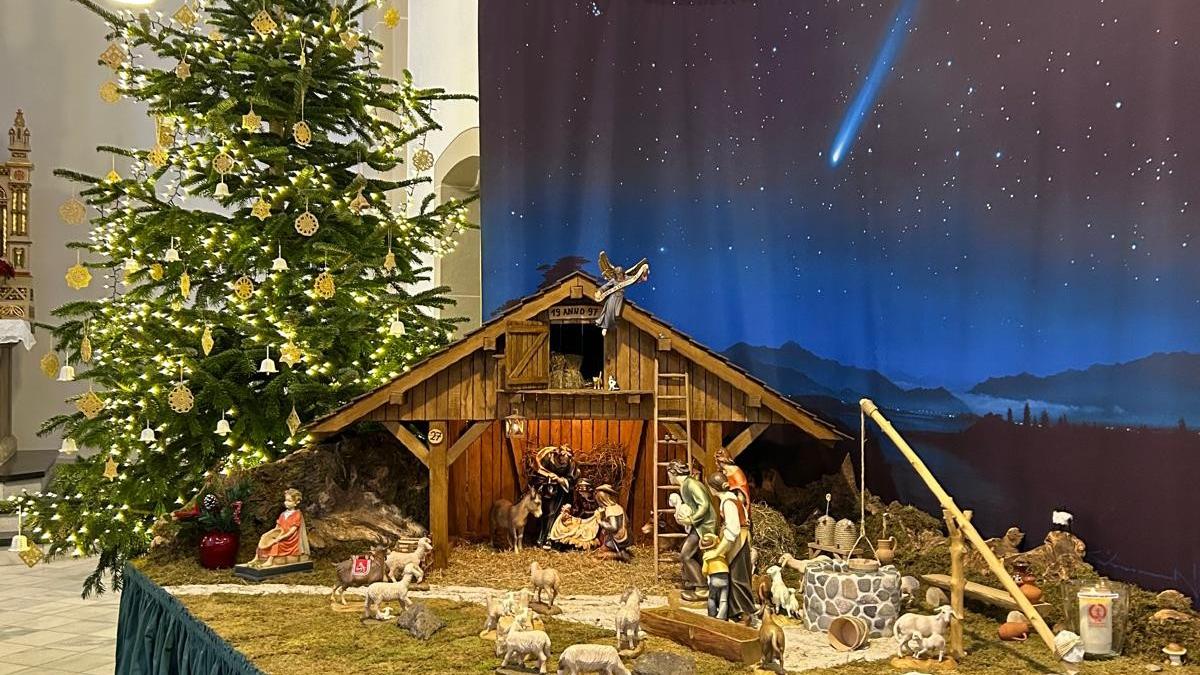 Ein Foto von einer Krippe mit einem geschmückten Tannenbaum im Hintergrund.