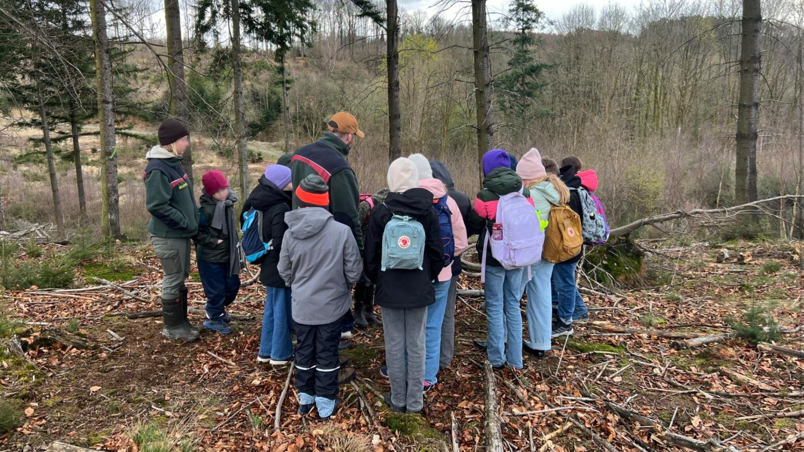 Ein Foto zeigt eine Schülergruppe auf einer Lichtung im Wald.