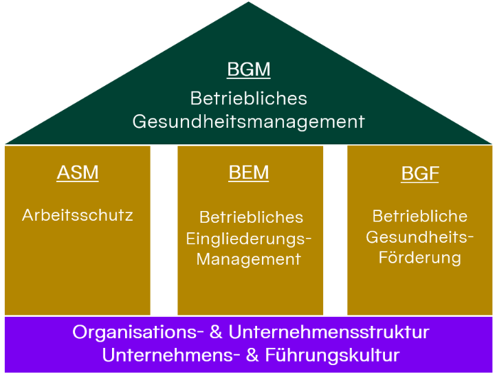 Eine Grafik zeigt die Säulen des Betrieblichen Gesundheitsmanagements.
