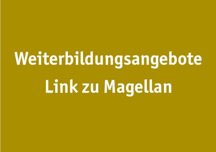 Button Link Magellan
