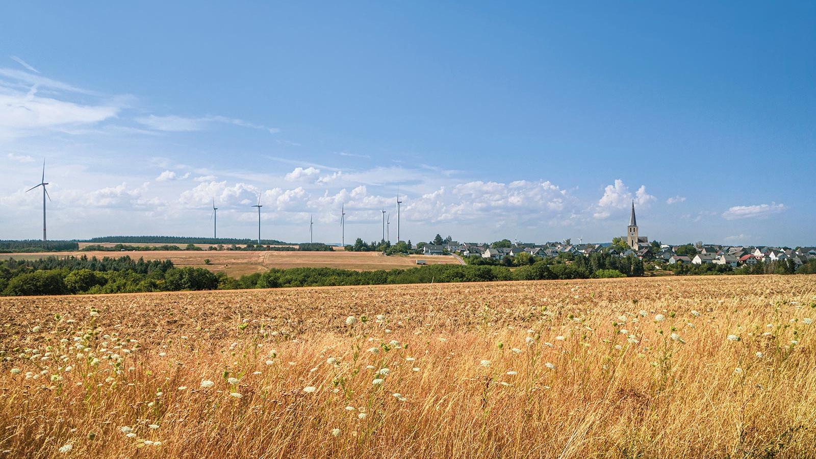 Einführung in den Finanzbericht 2020 - Vision Schöpfungsverantwortung