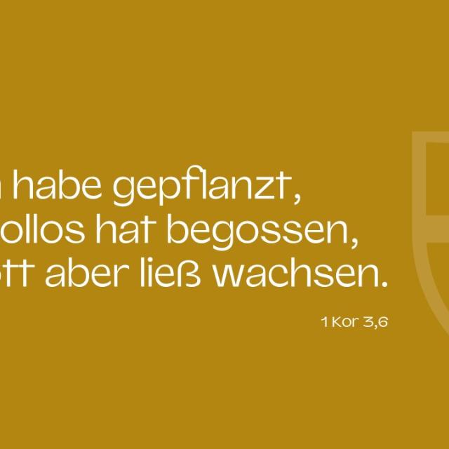 Bibelvers zur geistlichen Vision