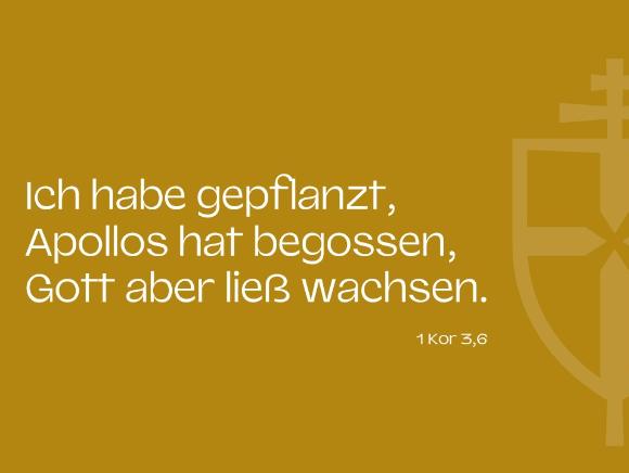 Bibelvers zur geistlichen Vision