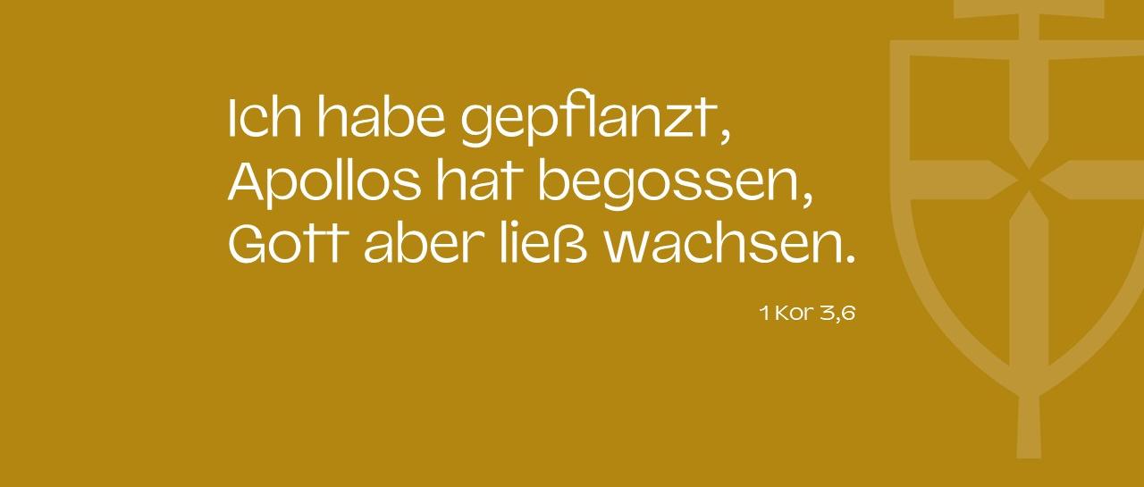 Bibelvers zur geistlichen Vision