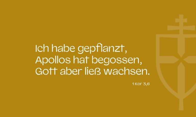 Bibelvers zur geistlichen Vision