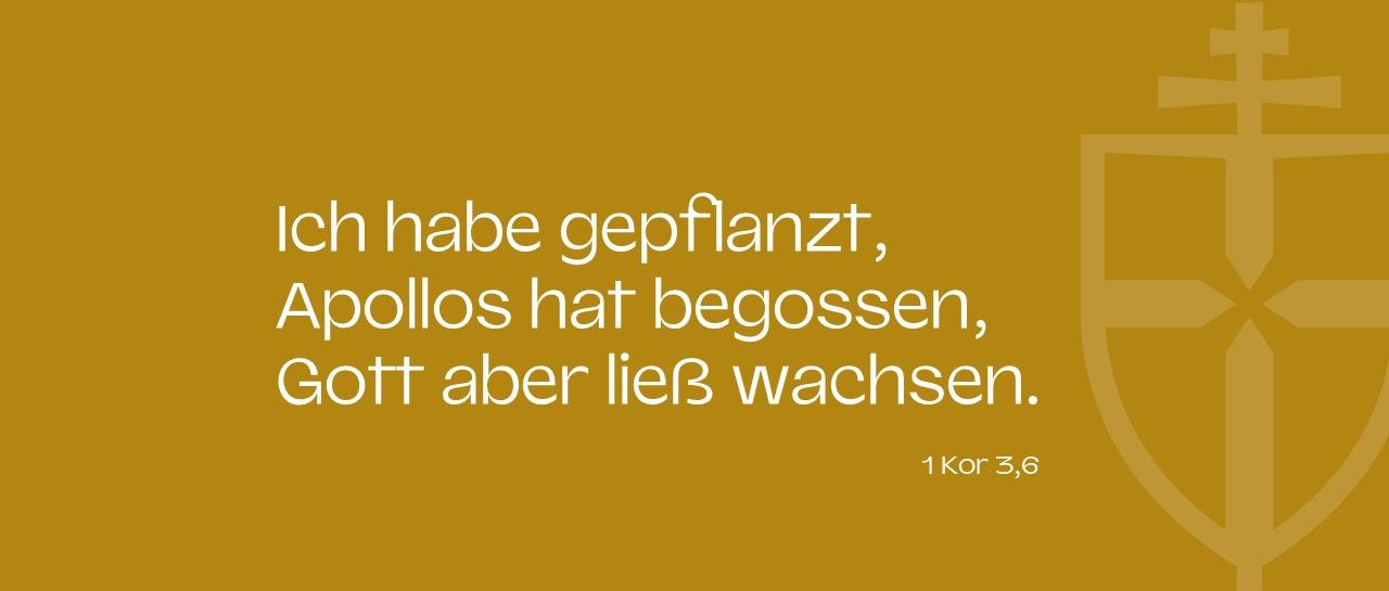 Bibelvers zur geistlichen Vision