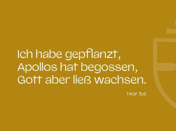 Bibelvers zur geistlichen Vision
