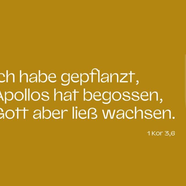 Bibelvers zur geistlichen Vision