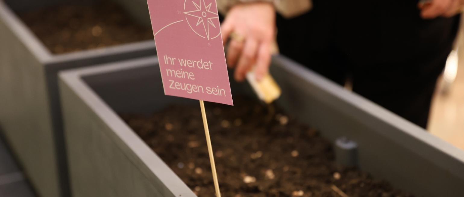 Geistliche Vision - säen