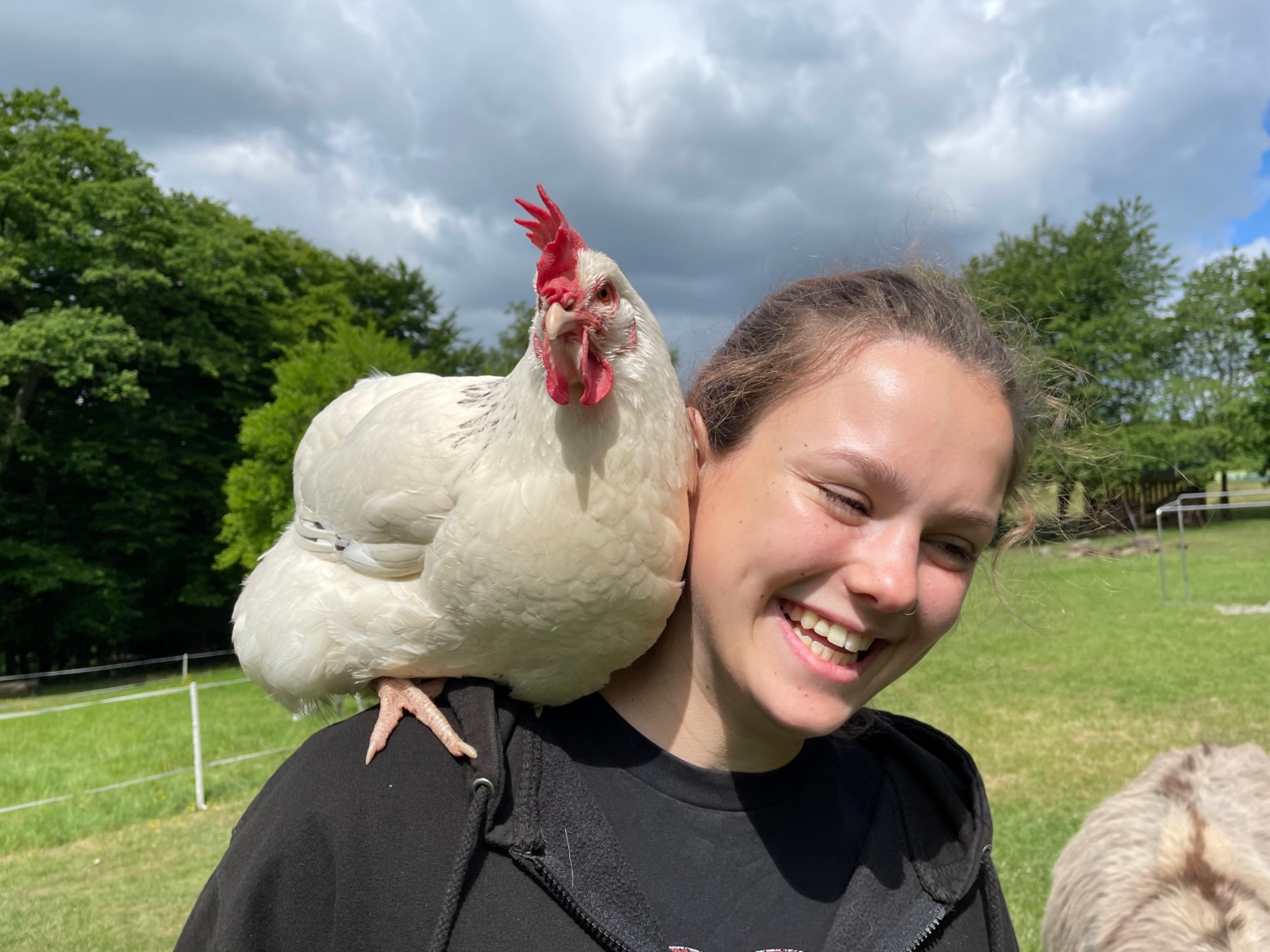 Haus Marienberge Westerwald