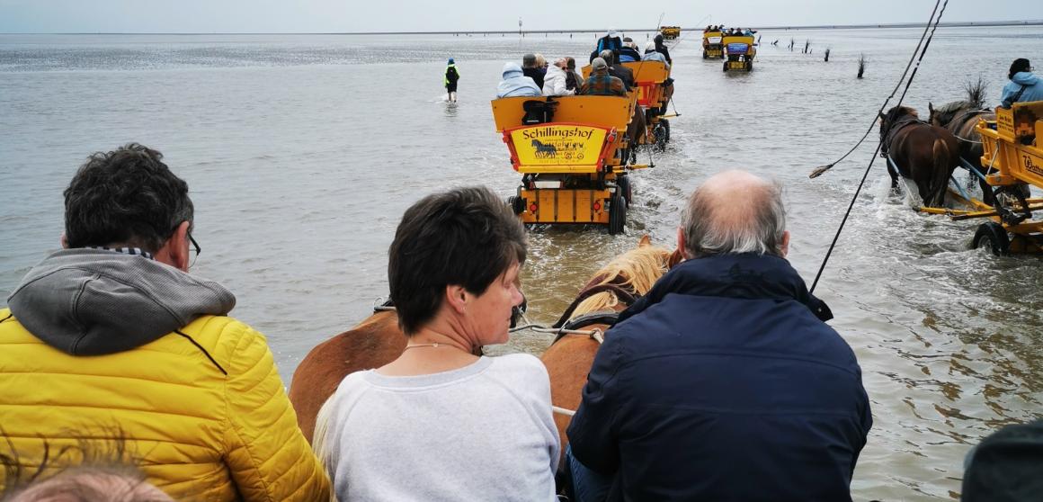Ferienfreizeit für psychisch Kranke nach Cuxhaven