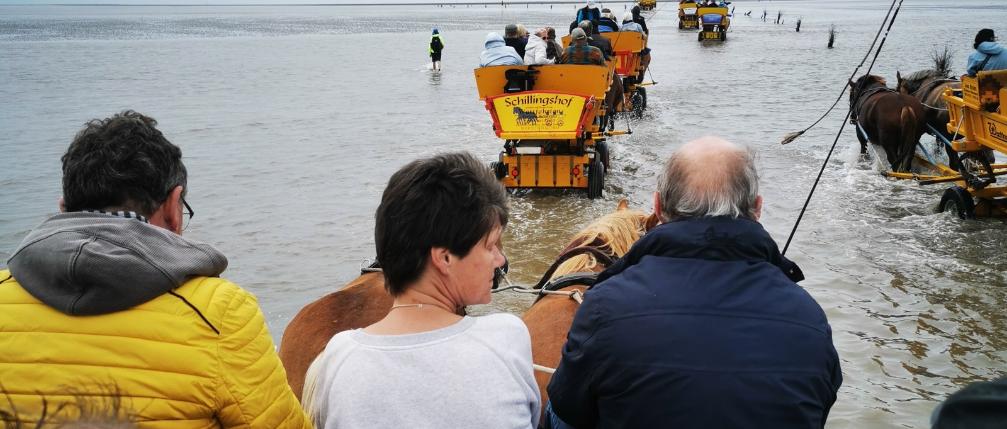 Ferienfreizeit für psychisch Kranke nach Cuxhaven
