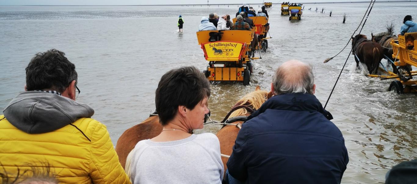 Ferienfreizeit für psychisch Kranke nach Cuxhaven