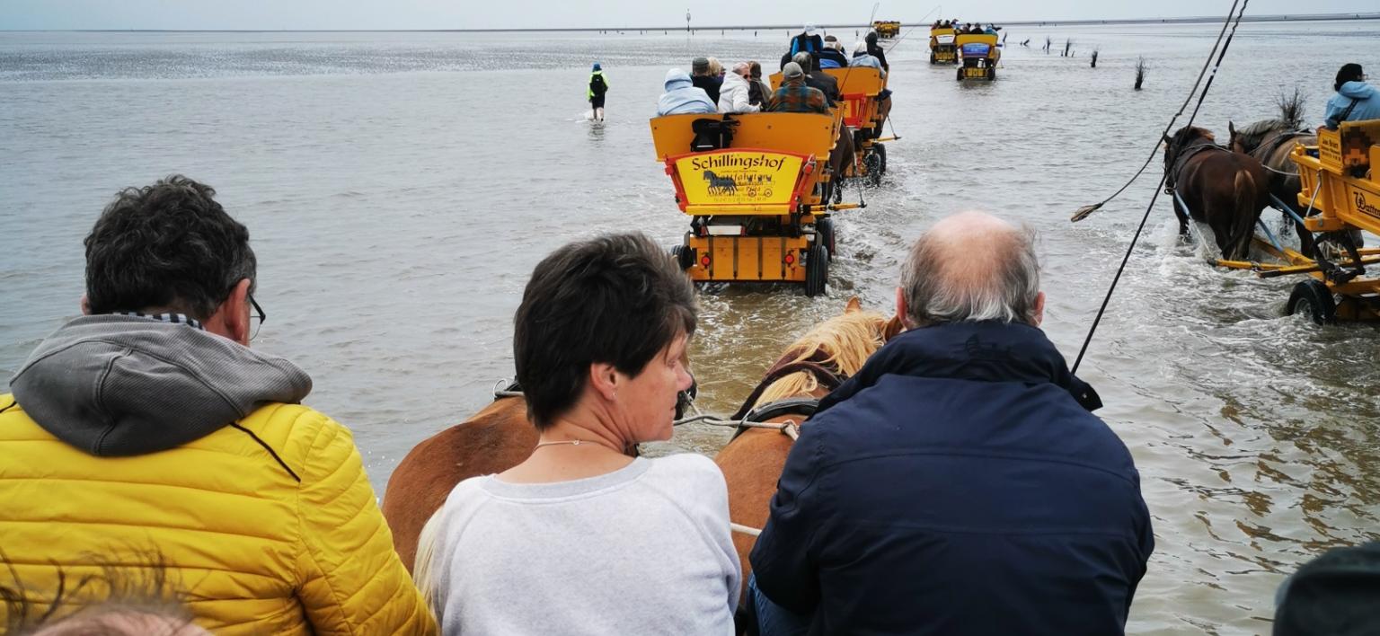 Ferienfreizeit für psychisch Kranke nach Cuxhaven