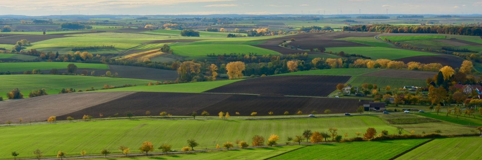 Landwirtschaftliche Flächen