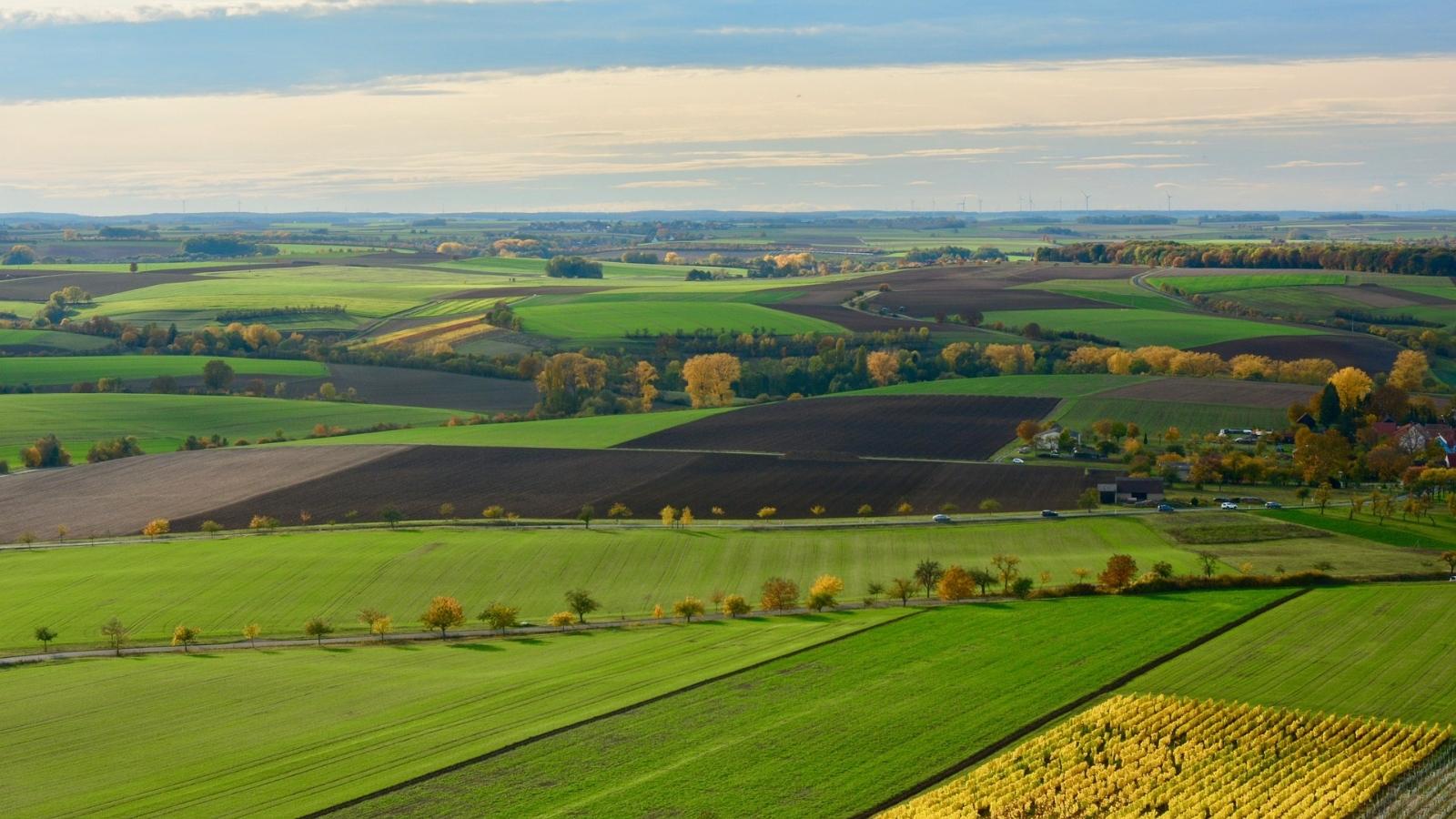 Landwirtschaftliche Flächen