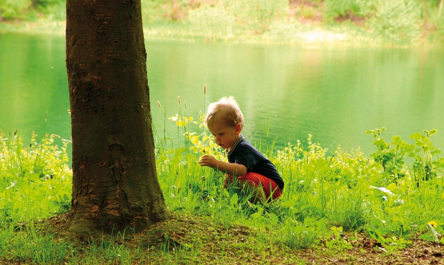 Kind unter Baum