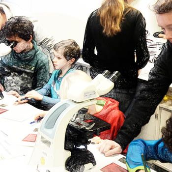 MINT-Grundschultag am Kardinal Frings Gymnasium Erzbistum Koeln